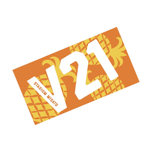 V21 ビックタオル